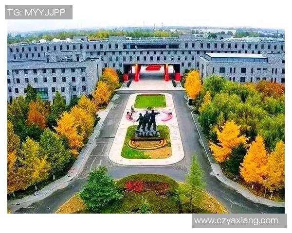 深圳排球队的崛起之路：从默默无闻到总决赛的辉煌历程